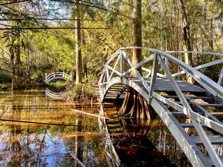 Charleston South Carolina Magnolia Plantation
