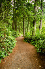 Obraz premium Winding path