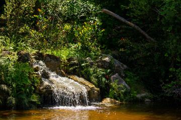 Photo of a water fall in nature