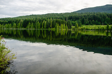 Westwood Lake and woodlands