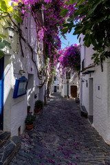 Fototapeta na wymiar Detail of beautiful small town Cadaques in Costa Brava in Catalonia of Spain