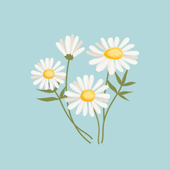 Daisies on a blue background for summer