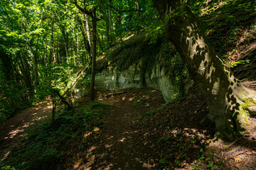Fantastic hike near Sipplingen on Lake Constance