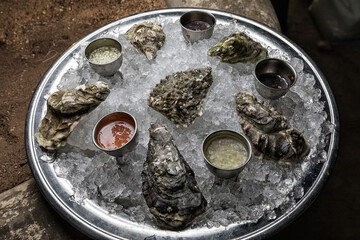 oysters