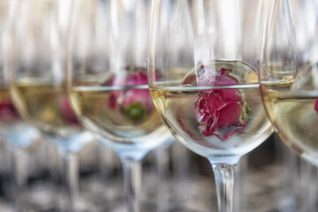 glasses of white wine