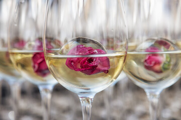 glasses of white wine