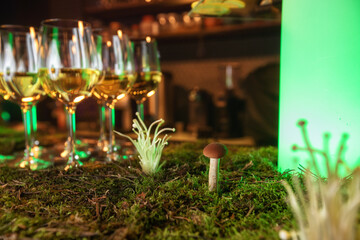 glass of vine in the grass