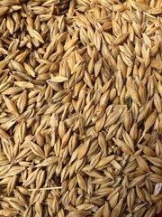 cumin seeds background