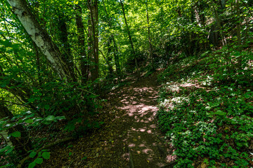 Fantastic hike near Sipplingen on Lake Constance