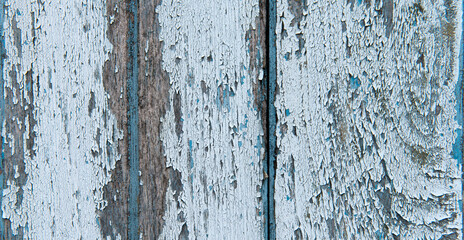 Obraz premium Old cracked color wood plank