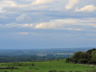 landscape with green grass and blue sky