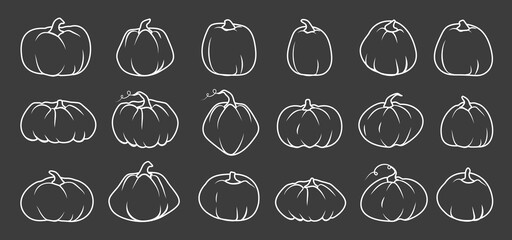 White doodle Autumn pumpkin icon set. Line sign Thanksgiving and Halloween, season crop capacity. Contour template different shape gourd. Linear style pictogram. Isolated on dark vector illustration