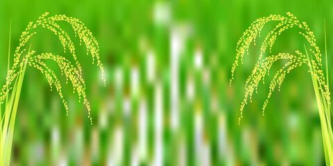 米　稲　田園　背景