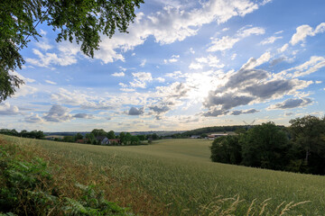 Fototapeta premium A forest on the hill and fields in the valley in the German town Velbert