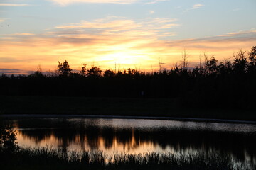 Summer Evening, Pylypow Wetlands, Edmonton, Alberta