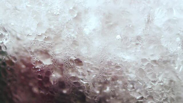Sweet cherry with ice