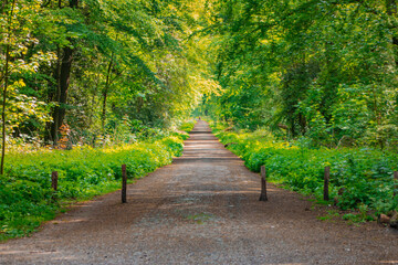 footpath in the park