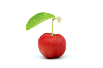 Juicy red cherry thai isolated on the white background.