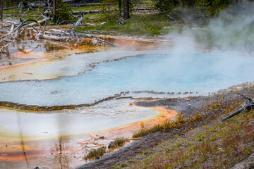 The Mammoth Hot Springs Area in Yellowstone National Park, Wyoming