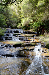 A view of Leura Cascades in the Blue Mountains west of Sydney, Australia