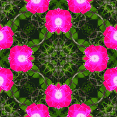 ABSTRACT SEAMLESS FLORAL  SQUARE PATTERN BACKGROUND