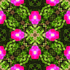 ABSTRACT SEAMLESS FLORAL  SQUARE PATTERN BACKGROUND
