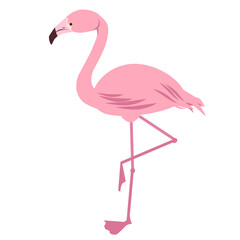 横を向いたピンク色のフラミンゴ