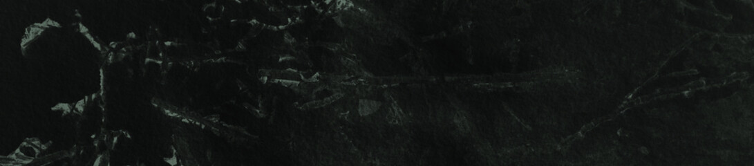 abstract black and light green colors background for design