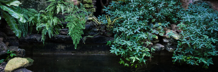 Banner Green leaves of tropical  plants,  green jungle summer background  in  vintage tone