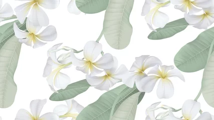 Afwasbaar fotobehang Floral seamless pattern, white plumeria flowers with leaves on white © momosama
