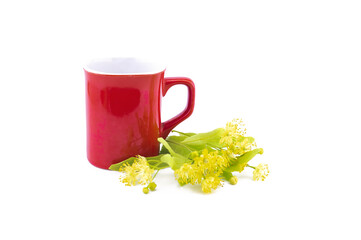 Fresh Linden flowers and leaves near red cup