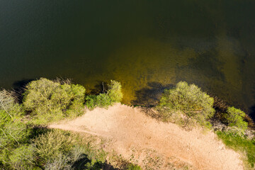coastline view from above. aerial view of forest lake and green trees on a sunny summer day