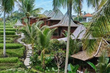 Beautiful hotel with houses near rice terrace