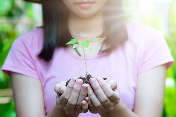 Teen hands planting the seedlings into the soil over nature background and sunlight. Farmer holding...
