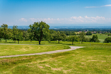 Fantastic hiking on northern Lake Constance