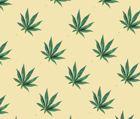 Pattern of green cannabis leaves on a beige background. Medical marijuana, top view