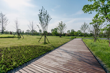 road in park