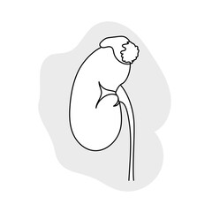 Adrenal gland tumor. Disease. Medical line art outline anatomy illustration.