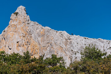 High mountain against a clear blue sky. At the foot of the mountain trees sprout
