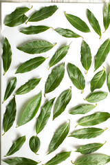 Laurel, Laurus nobilis leaf background. Fresh bay leaves. Top view. Flat lay pattern