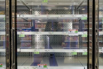 ATLANTA, UNITED STATES - Apr 02, 2020: Empty freezer shelves at Publix featuring frozen food shortage © Jaimie Mcgowan/Wirestock