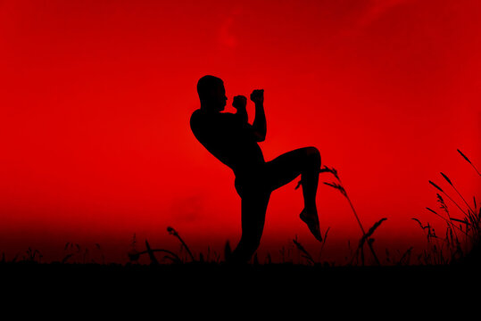 Silhouette of a male fighter engaged in training and applying combat techniques