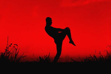 Fototapeta na wymiar Silhouette of a male fighter engaged in training combat techniques and stretching in the evening in nature