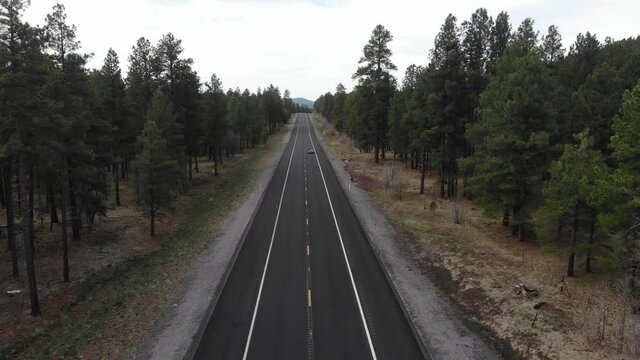 4K Drone through forest following a red Ford Thunderbird