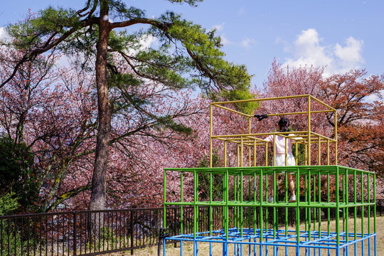 「フラッド」の画像 166 件の Stock 写真、ベクターおよびビデオ Adobe Stock