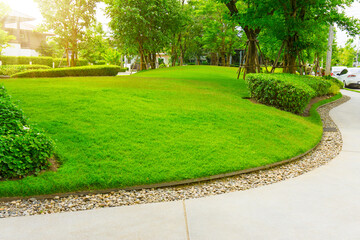 Fototapeta premium Smooth green grass lawn, trees with supporting and shrub in a good maintenance landscape and garden, gray curve pattern walkway, sand washed finishing on concrete paving, brown gravel border