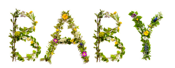 Flower, Branches And Blossom Letter Building English Word Baby. White Isolated Background