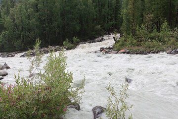 Tekelu River flowing into the Akkem River, Altai Republic, Russia