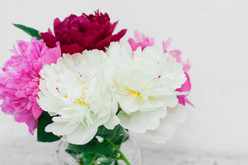 bouquet of fresh lush fragrant multi colored peonies in a stylish glass vase on a white background indoors