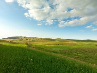Fototapeta premium Beautiful spring and summer landscape. Lush green hills. Spring blooming herbs.